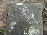 image of grave number 266444